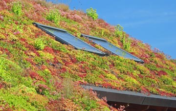 Layton living roof systems