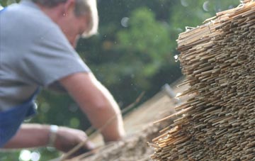 professional Layton thatchers